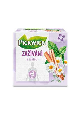zažívání new