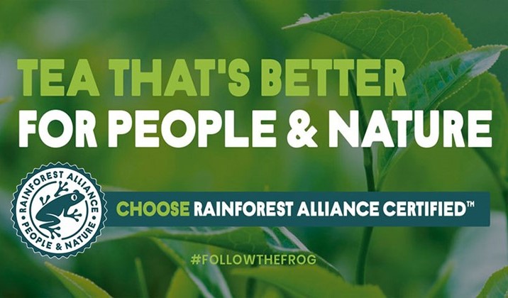 twohalves-rainforest-alliance-new-logo-final.jpg